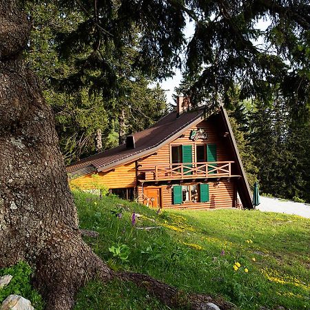 Chalet Alpinka ツェルクニェ・ナ・ゴレニスケム エクステリア 写真