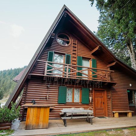 Chalet Alpinka ツェルクニェ・ナ・ゴレニスケム エクステリア 写真