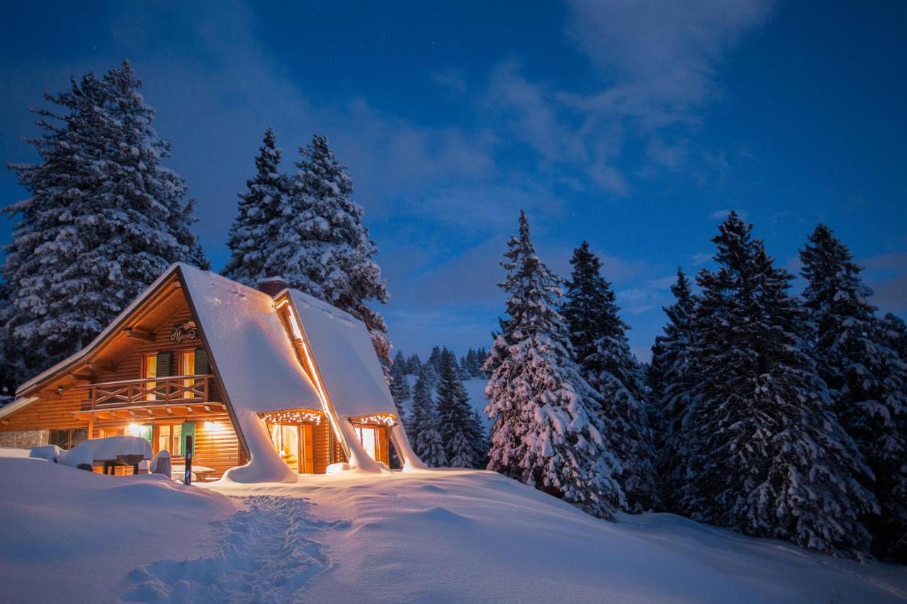 Chalet Alpinka ツェルクニェ・ナ・ゴレニスケム エクステリア 写真