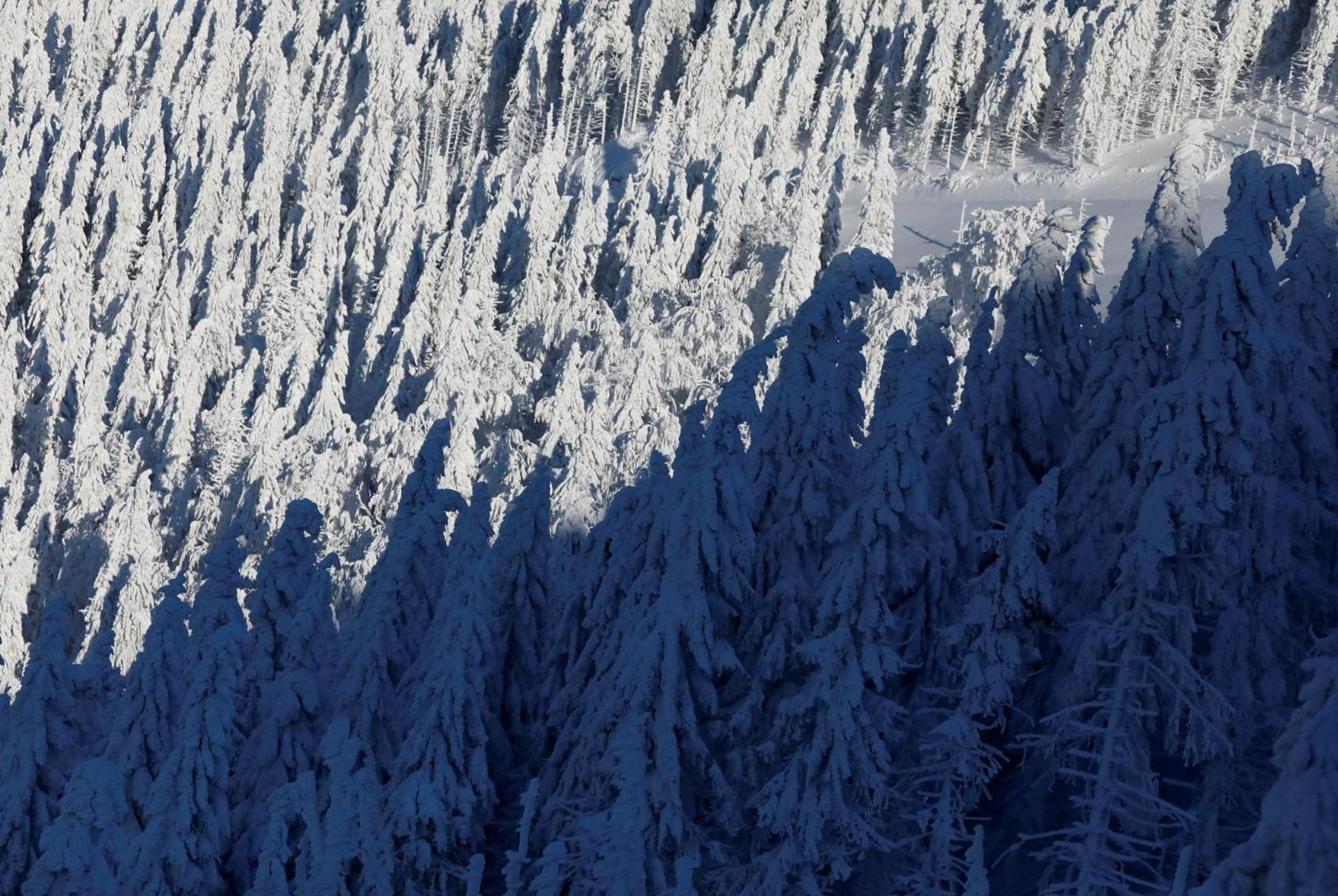 Chalet Alpinka ツェルクニェ・ナ・ゴレニスケム エクステリア 写真