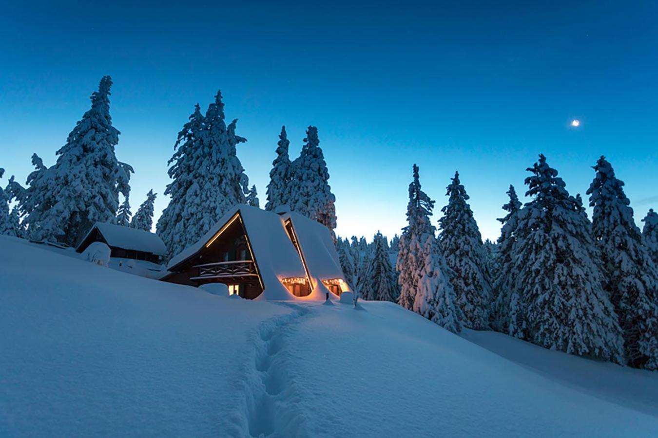 Chalet Alpinka ツェルクニェ・ナ・ゴレニスケム エクステリア 写真