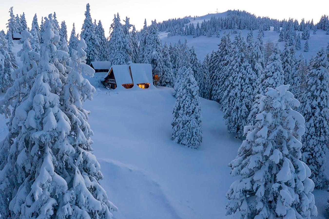 Chalet Alpinka ツェルクニェ・ナ・ゴレニスケム エクステリア 写真